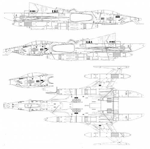 Tiger Dimensions