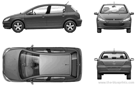 peugeot 307 2004