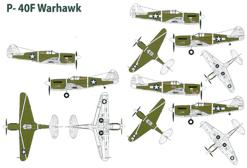 Curtiss P-40F Warhawk - Kittyhawk