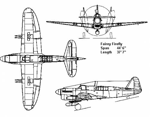 firefly cutaway view