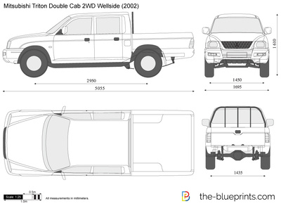 Mitsubishi Triton Double Cab 2WD Wellside