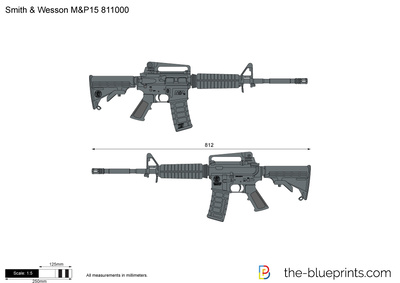 Smith & Wesson M&P15 811000