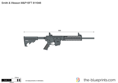 Smith & Wesson M&P15FT 811048