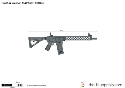 Smith & Wesson M&P15TS 811024