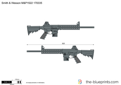 Smith & Wesson M&P1522 170335