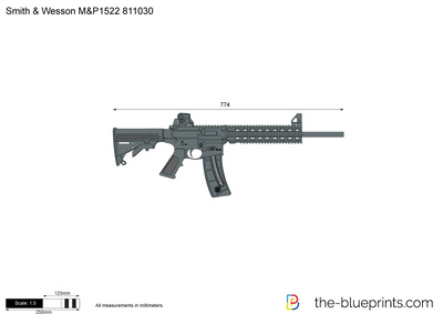 Smith & Wesson M&P1522 811030