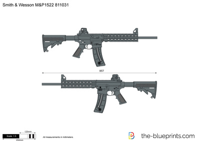 Smith & Wesson M&P1522 811031