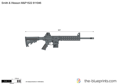 Smith & Wesson M&P1522 811046