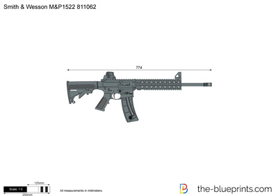 Smith & Wesson M&P1522 811062