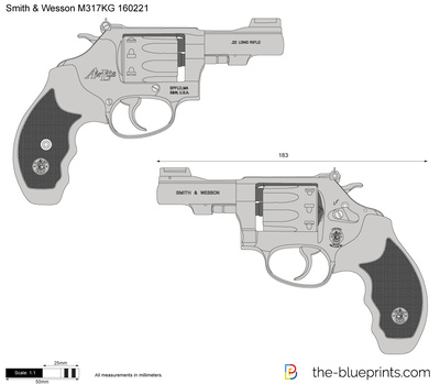 Smith & Wesson M317KG 160221