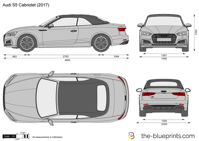 Audi S5 Cabriolet (2017)