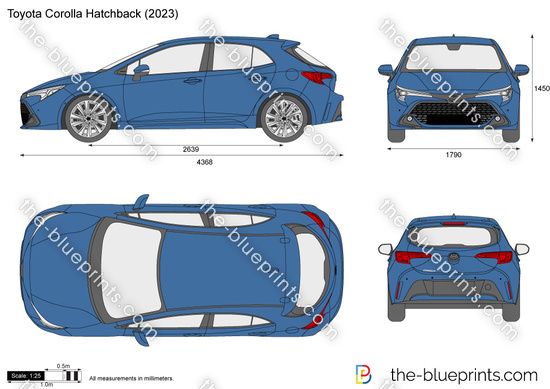 Toyota Corolla Hatchback vector drawing