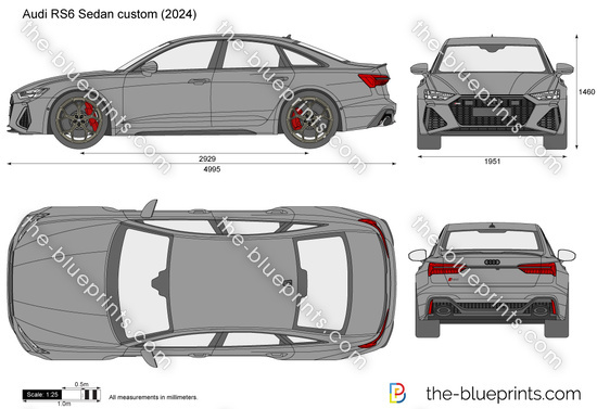 Audi RS6 Sedan custom