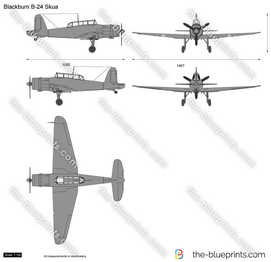 Blackburn B-24 Skua