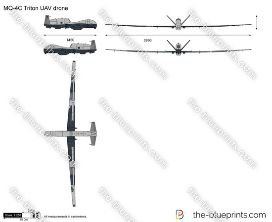 MQ-4C Triton UAV drone