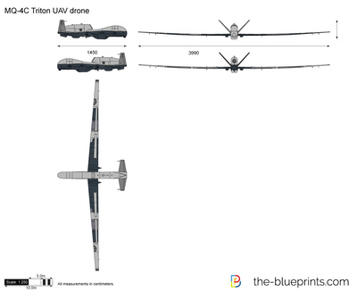 MQ-4C Triton UAV drone