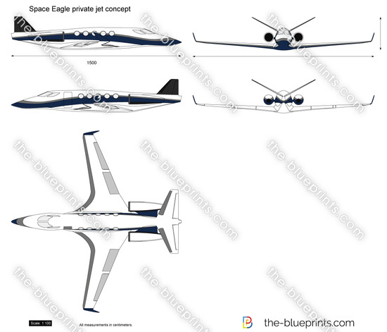 Space Eagle private jet concept