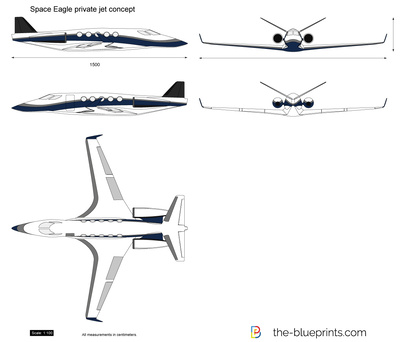 Space Eagle private jet concept