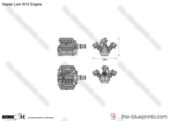 Napier Lion W12 Engine