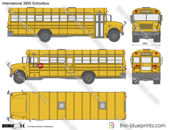 International 3800 Schoolbus