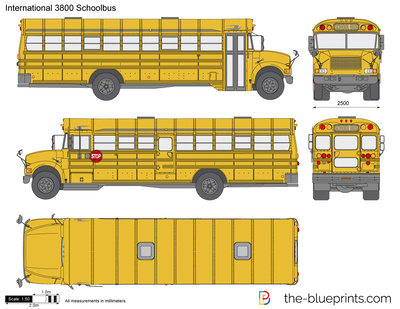 International 3800 Schoolbus
