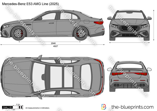 Mercedes-Benz E53 AMG Line