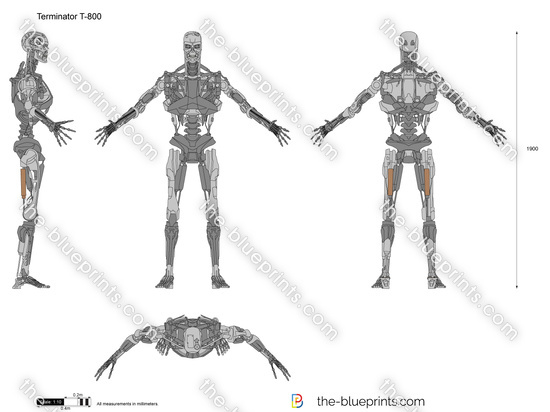 Terminator T-800