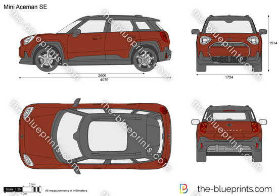 Mini Aceman SE