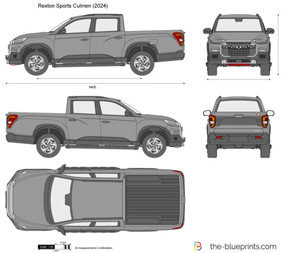 Rexton Sports Culmen