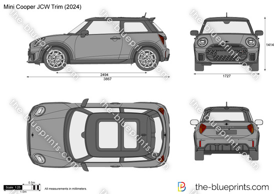 Mini Cooper JCW Trim