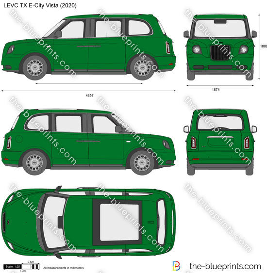 LEVC TX E-City Vista