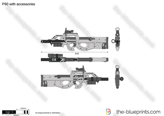 P90 with accessories