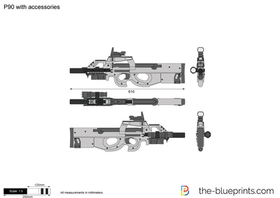 P90 with accessories