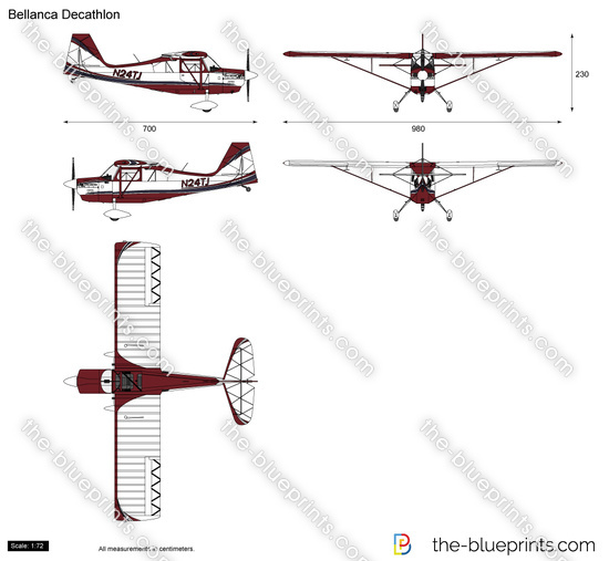 Bellanca Decathlon