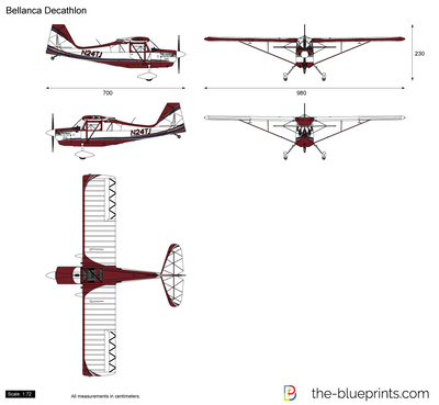 Bellanca Decathlon