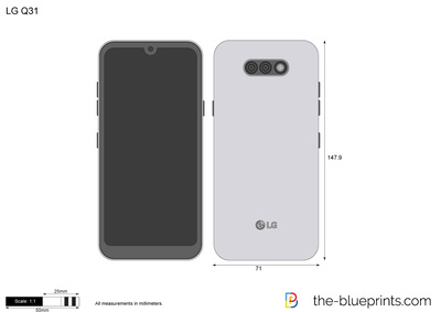 LG Q31