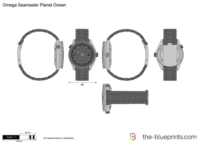 Omega Seamaster Planet Ocean