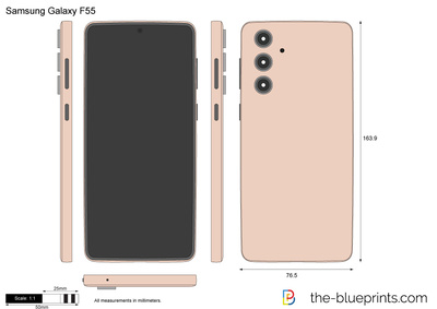 Samsung Galaxy F55