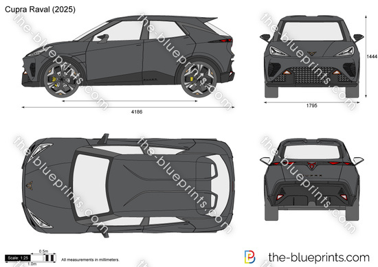 Cupra Raval