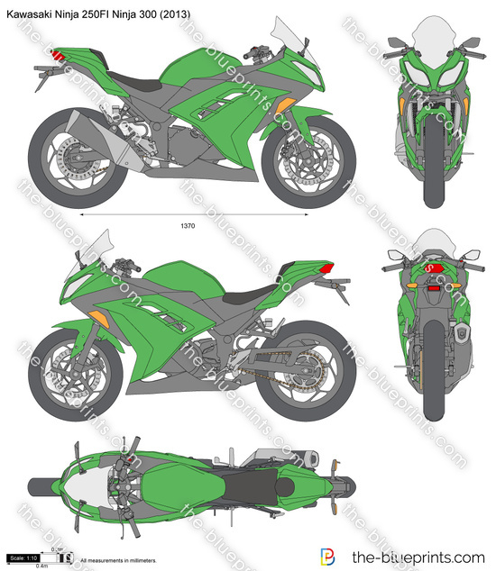 Kawasaki Ninja 250FI Ninja 300