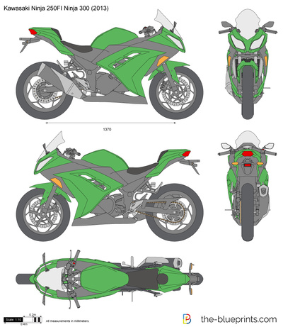 Kawasaki Ninja 250FI Ninja 300