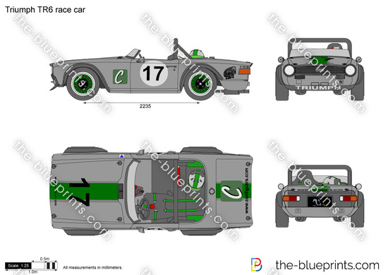 Triumph TR6 race car