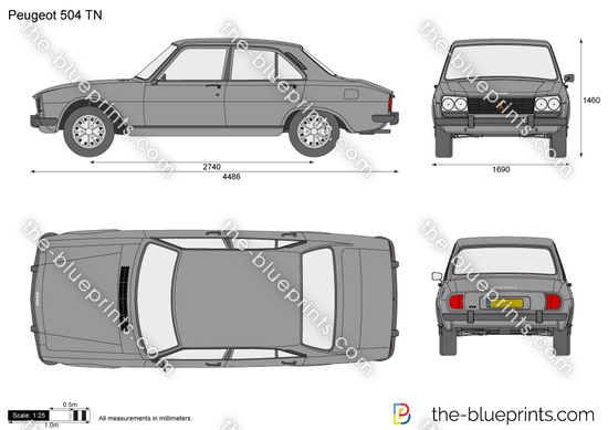 Peugeot 504 TN