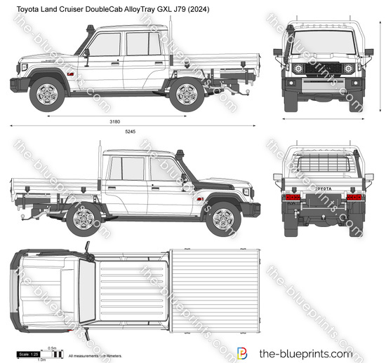 Toyota Land Cruiser DoubleCab AlloyTray GXL J79