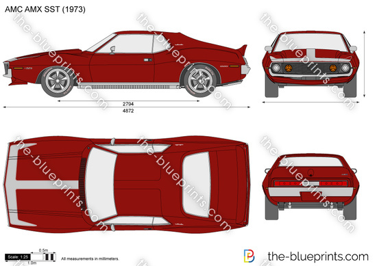 AMC AMX SST