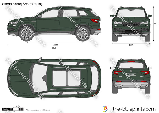 Skoda Karoq Scout