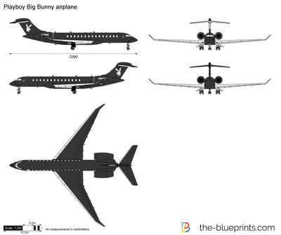 Playboy Big Bunny airplane