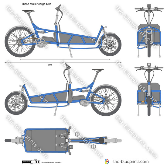 Riese Muller cargo bike