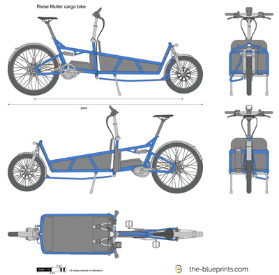 Riese Muller cargo bike