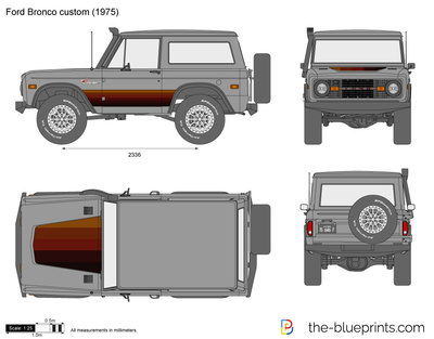 Ford Bronco custom